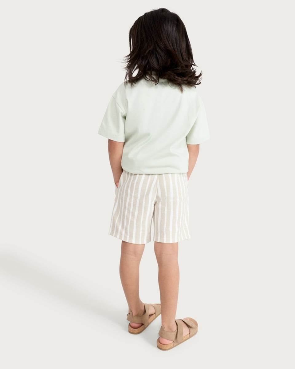 image 1 of F&F Boys 2-Piece Desert Vibes T-Shirt and Striped Shorts Set in Multi