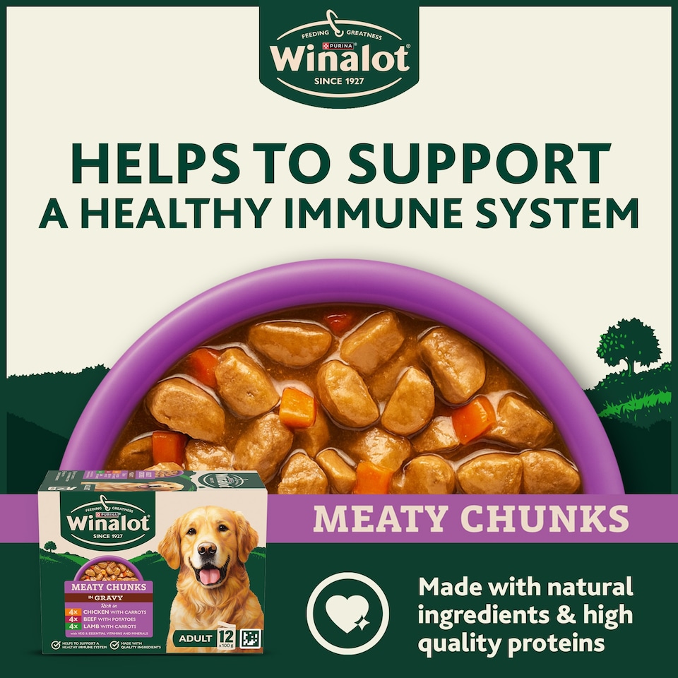 image 1 of WINALOT Meaty Chunks Mixed in Gravy Wet Dog Food 12x100g