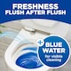 image 5 of Bloo 2in1 Cleaning Foam Fresh Scent Toilet Blocks 2 x 50g