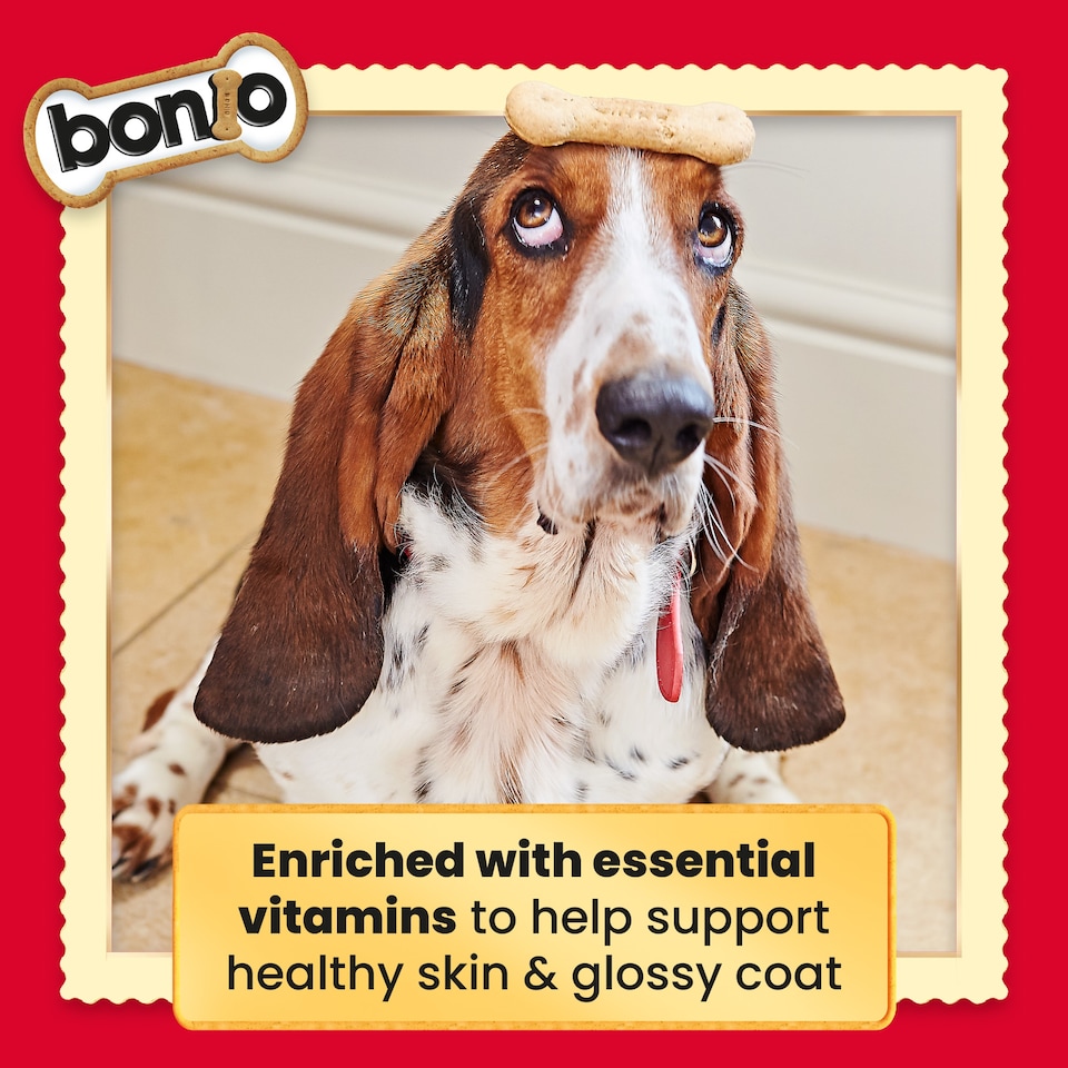 image 1 of BONIO Original Dog Biscuits 1.2kg