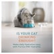 image 3 of Purina ONE HYDRALIFE with Chicken Cat Compliment 6x50g