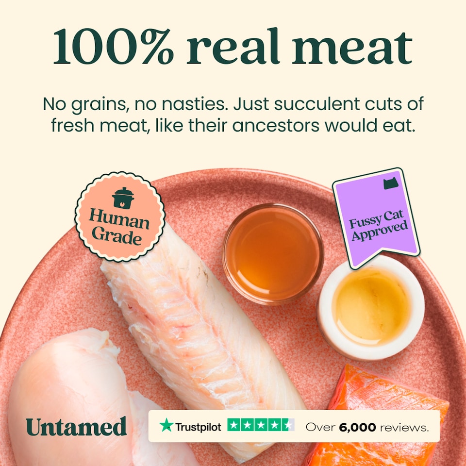 image 1 of Untamed Fish Selection Box in Gravy Cat Food 6 x 75G