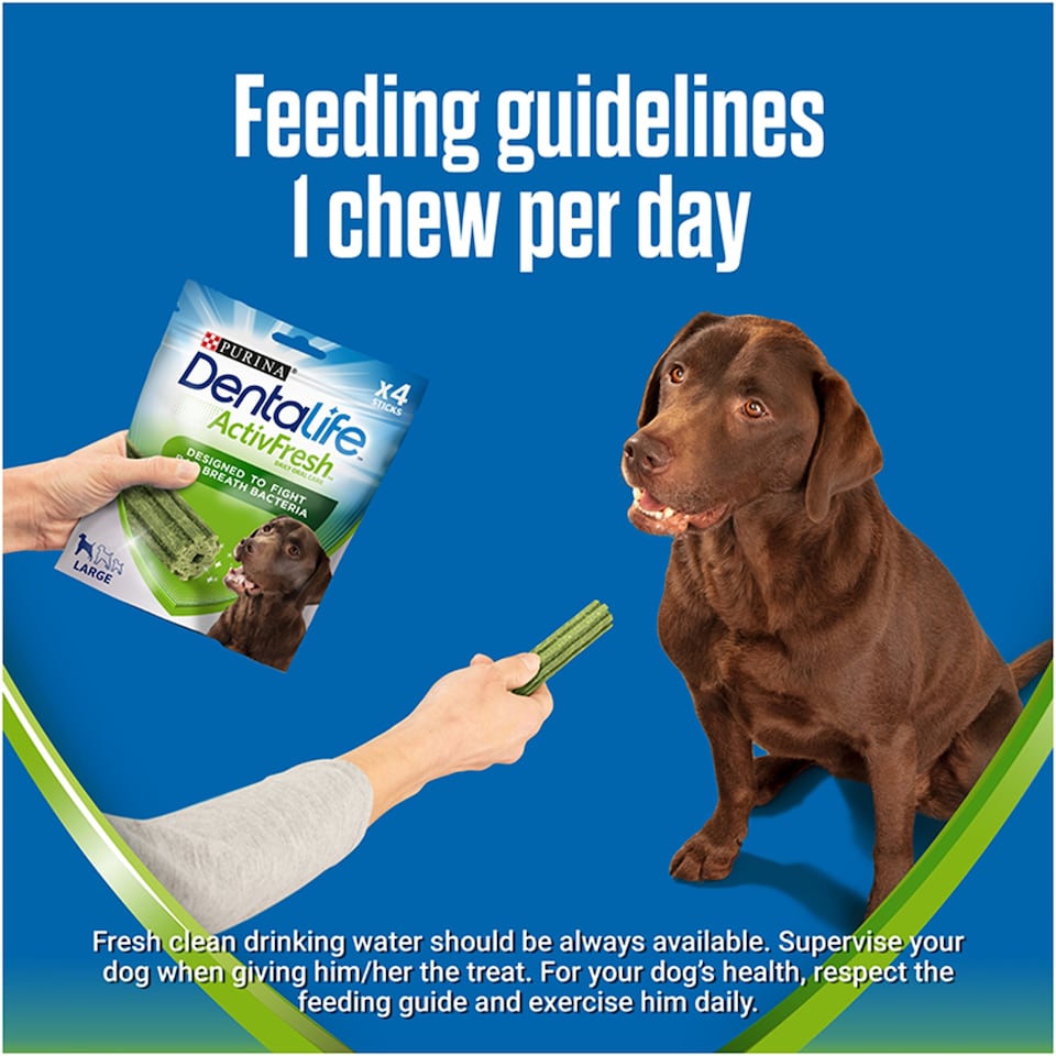 image 1 of Dentalife Activfresh 4 Large Dog Sticks 142G