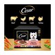 image 4 of Cesar Deliciously Fresh Wet Dog Food Pouches in Sauce 12x100g