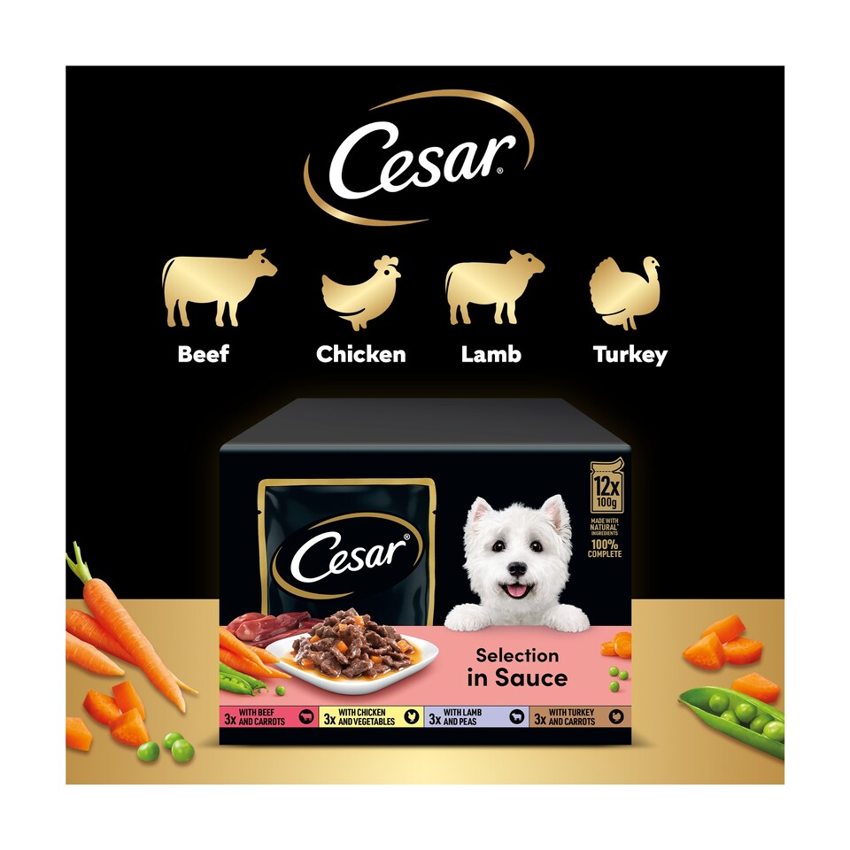 image 1 of Cesar Deliciously Fresh Wet Dog Food Pouches in Sauce 12x100g