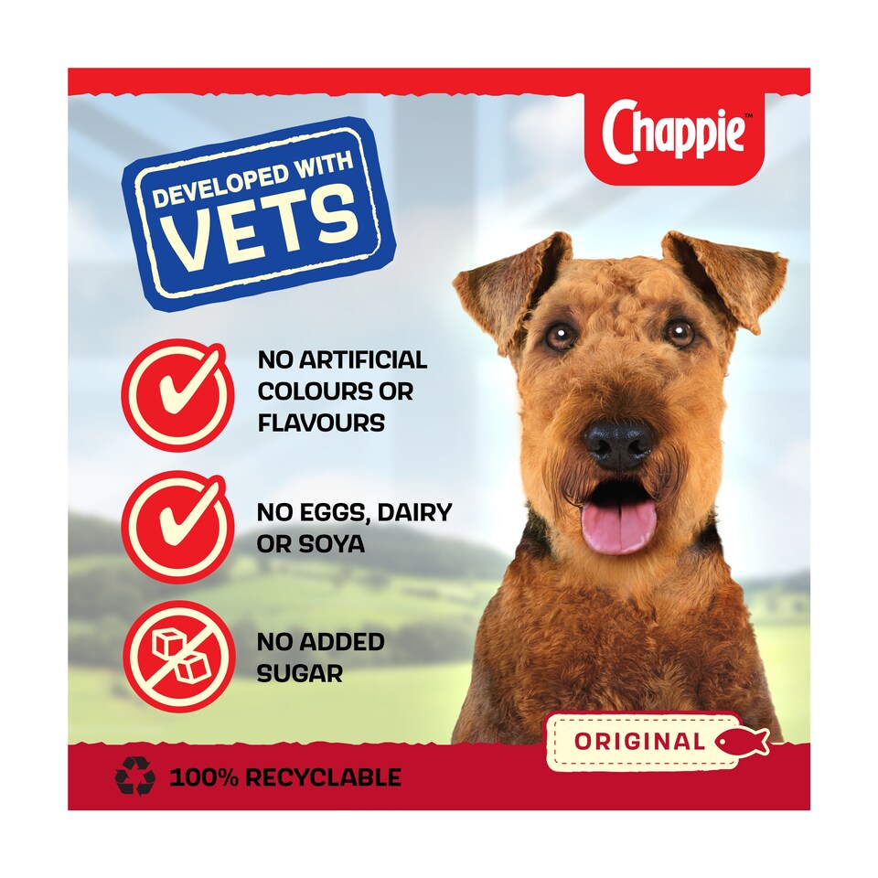 image 1 of Chappie Original 412G