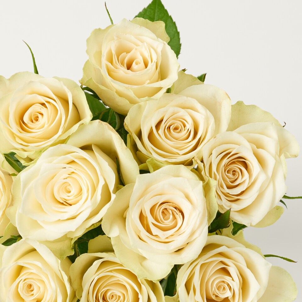image 1 of Tesco Small White Roses Bouquet