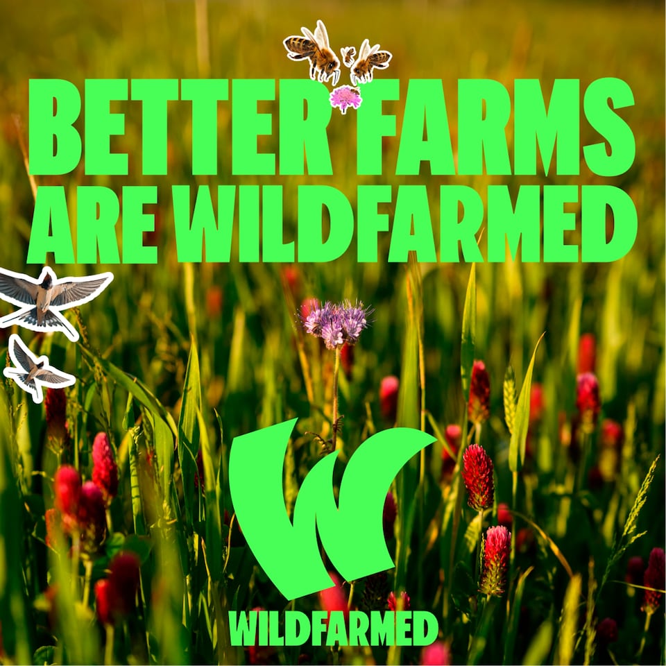 image 1 of Wildfarmed Plain Flour 1kg