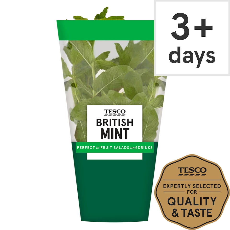 Tesco Growing Mint Medium Pot