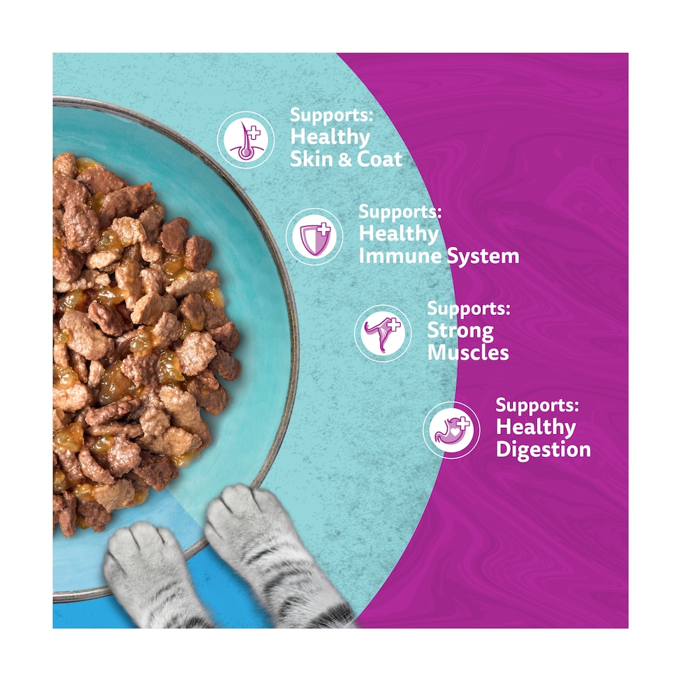 image 1 of Whiskas Duo Ocean Delights Adult Cat Food Pouches Jelly 12x85g