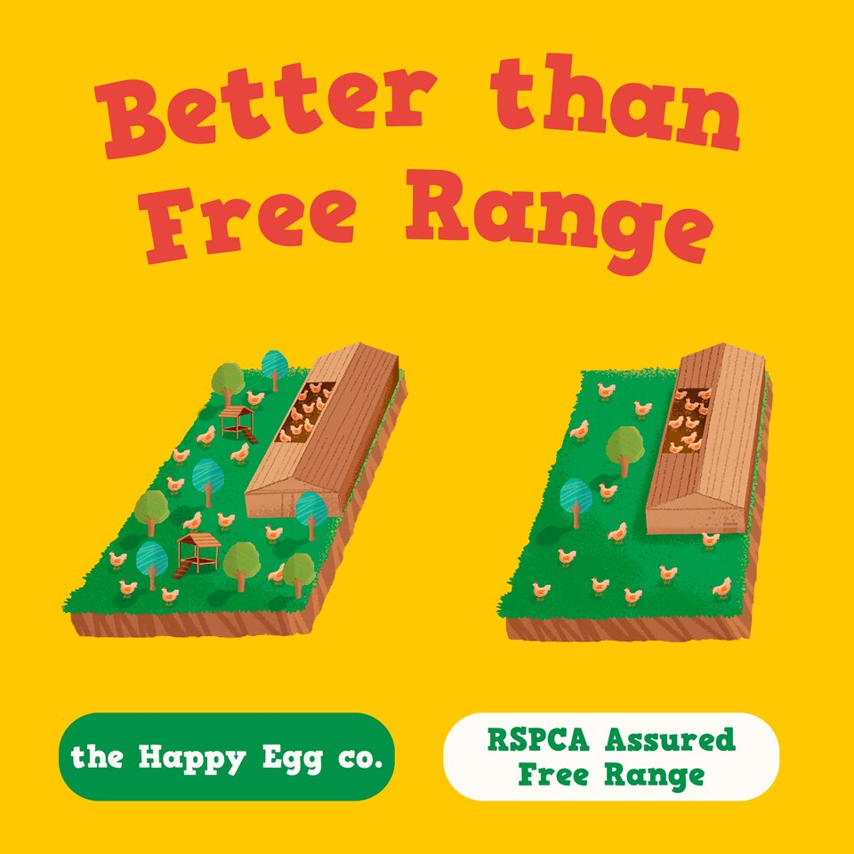image 1 of Happy Egg Co. Free Range Eggs Mixed Weight 6 Pack