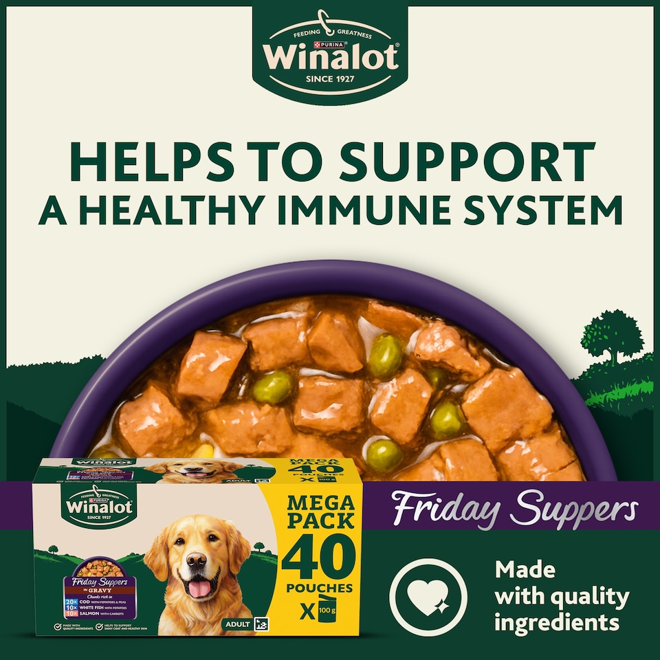 image 1 of WINALOT Friday Suppers Mixed Variety Fish in Gravy Wet Dog Food 40x100g