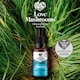 image 4 of Love Mushrooms Organic Lion's Mane Liquid Drops 30ml