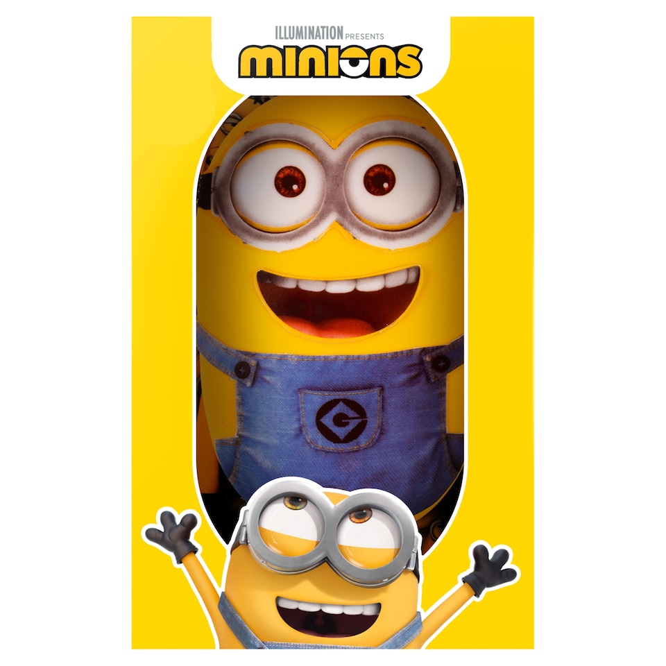 Minions Chocolate Celebration Cake