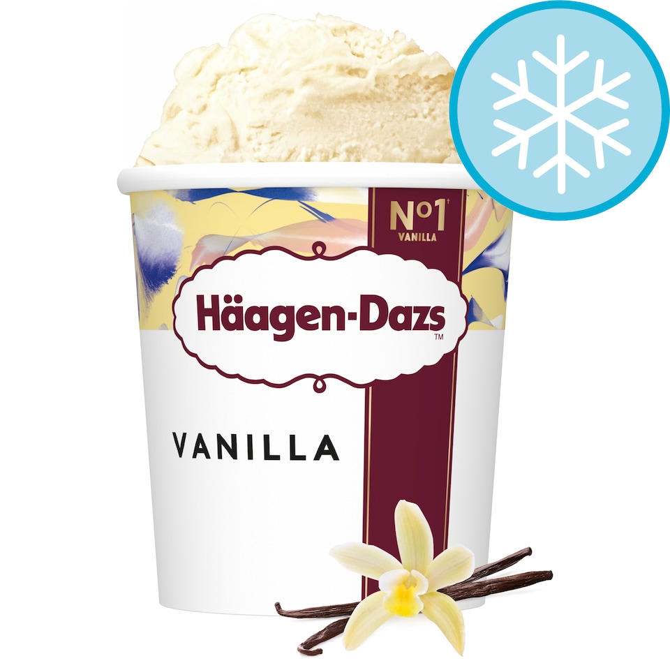 Haagen-Dazs Vanilla Ice Cream 460Ml