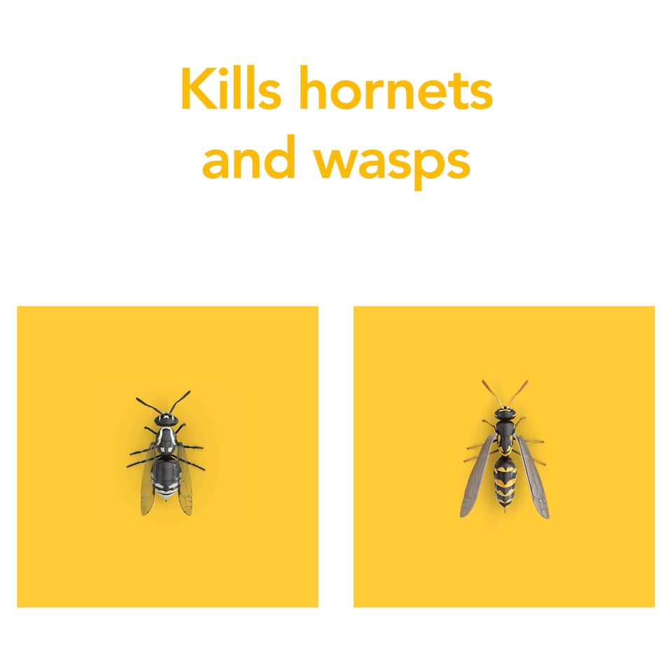 image 1 of Raid Wasp & Hornet 300ml