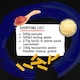 image 3 of Schwartz Pizza Express Tomato & Herb Pasta Bake Recipe Mix 32g
