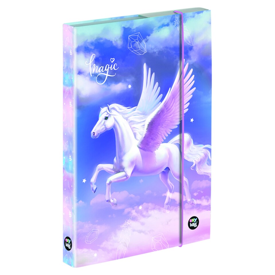 Obrázek 1 pro produkt Oxybag Desky na sešity A5 pro dívky