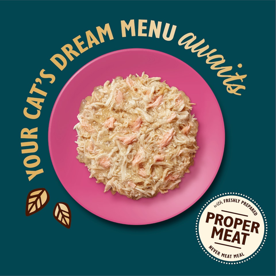 image 1 of Lily’s Kitchen Cat Shredded Fillets in Jelly Chicken & Salmon 70G