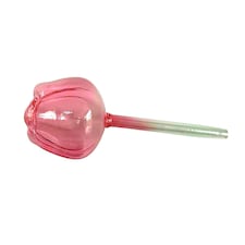 Bayswood Mother's Day Glass Watering Stake
