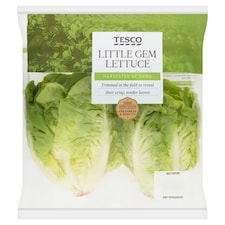 Tesco Little Gem Lettuce Twin Pack