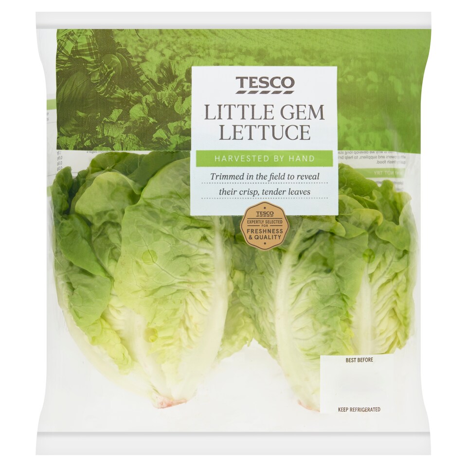 Tesco Little Gem Lettuce Twin Pack