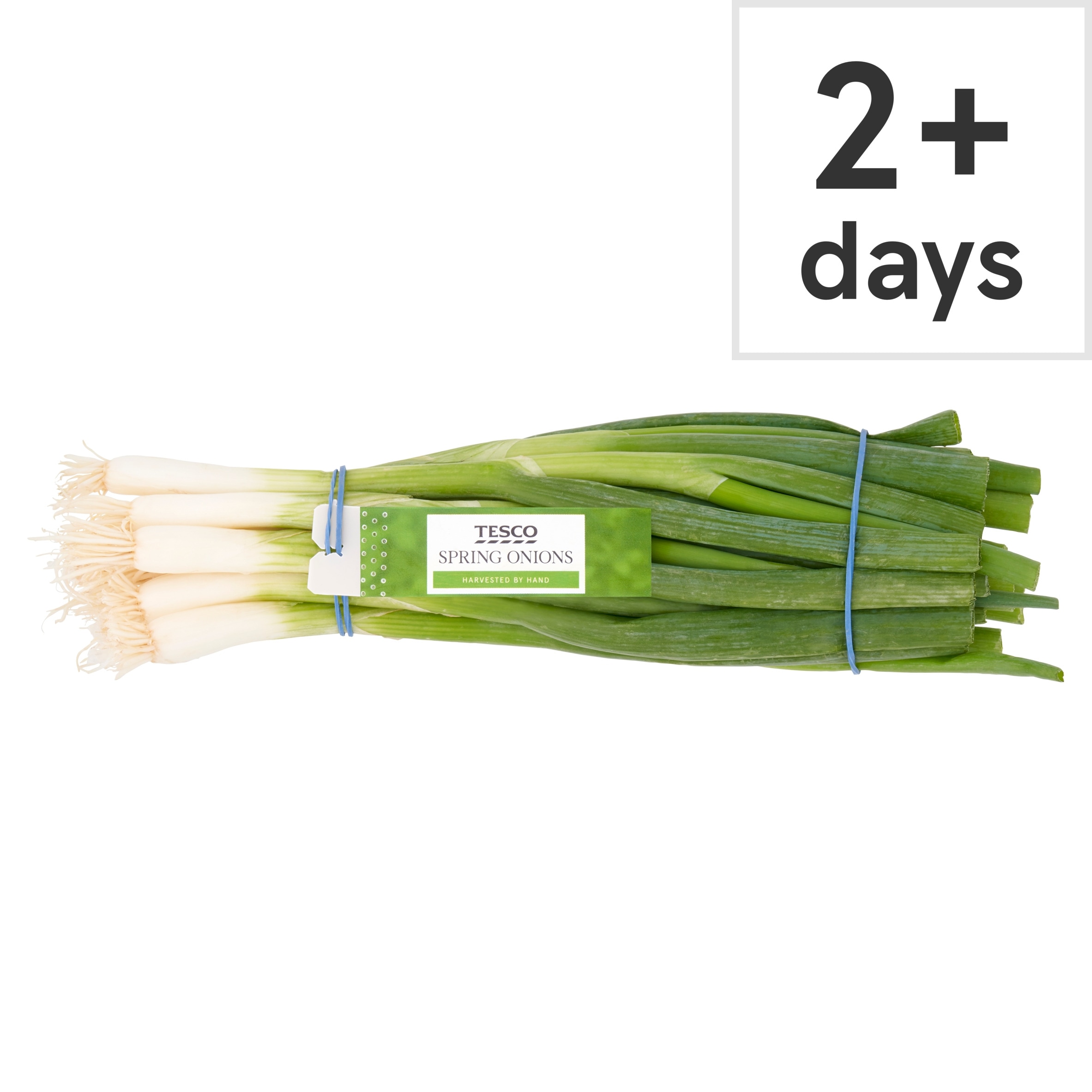 Tesco Bunched Spring Onions 100G