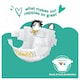 image 2 of Fred & Flo Newborn Nappy Size 1 50 Pack