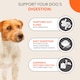 image 4 of IAMS Adult Sensitive Dry Dog Food Turkey 2kg