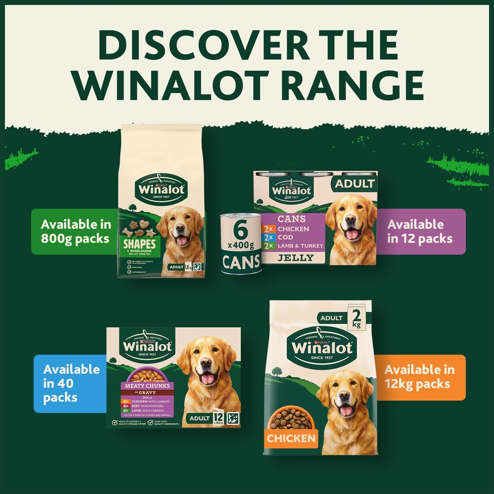 image 1 of Winalot Adult Dog Food with Chicken in Jelly 12 x 400g