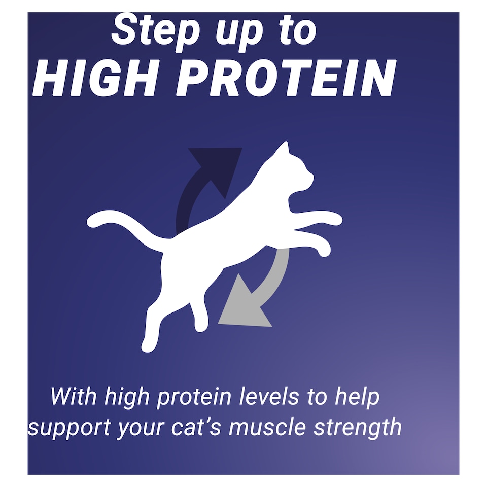 image 1 of PURINA ONE High Protein Chicken Adult Cat Food 650g