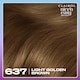 image 4 of CLAIROL NICE'N EASY TONE+GLOSS SEMI PERMANENT HAIR DYE - 637/76 LIGHT GOLDEN BROWN