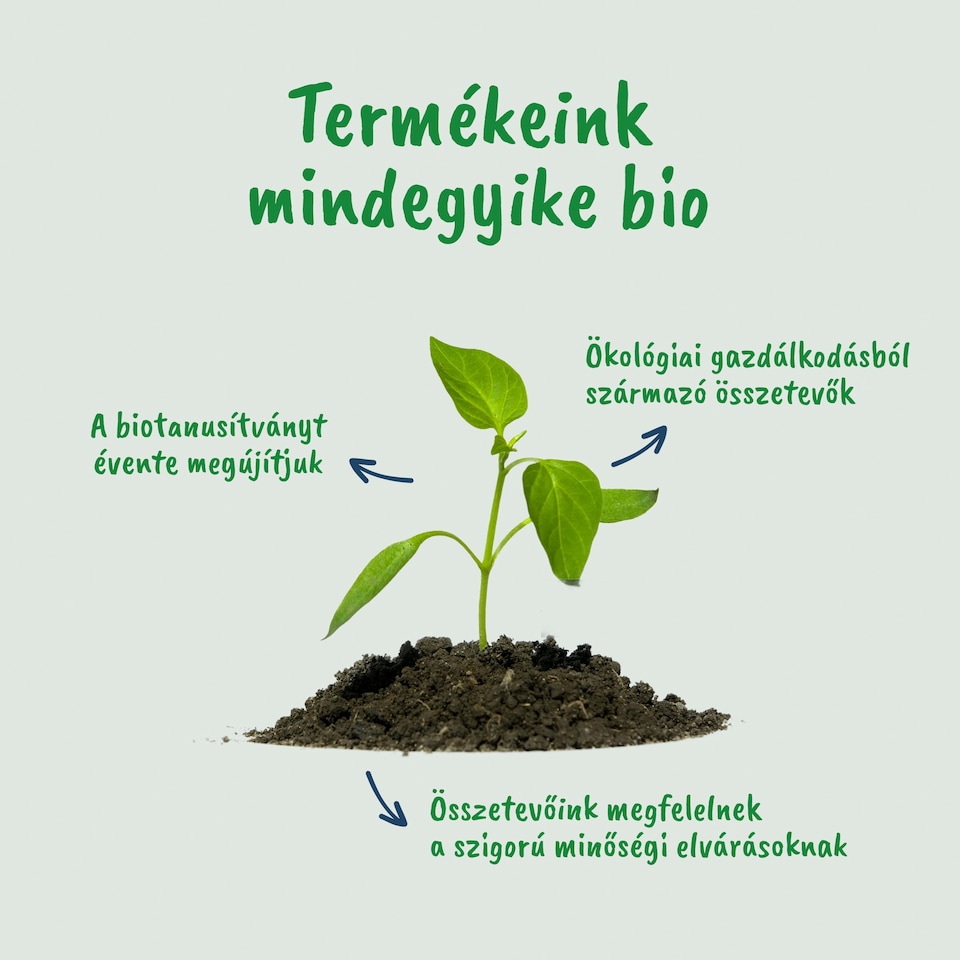 Gerber bio banános és málnás gabonasnack, 8 hónapos kortól 7 g  1. kép