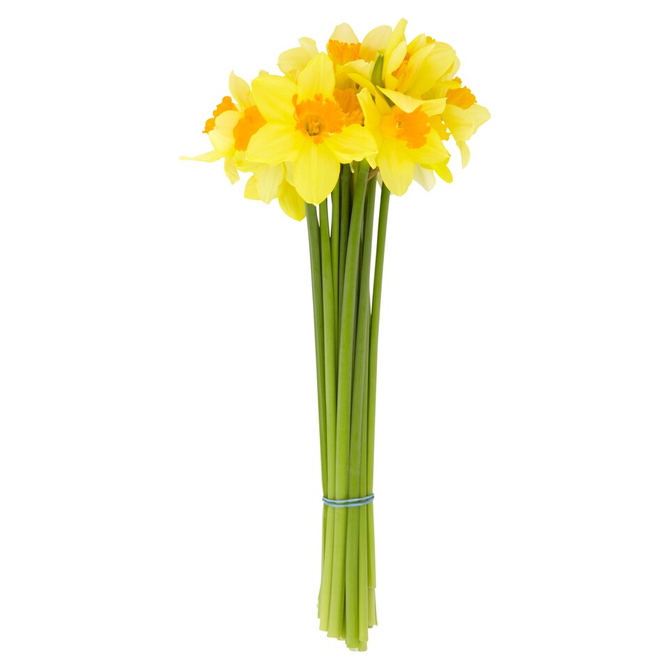 image 1 of Tesco Bouquet of Daffodils 18 pcs