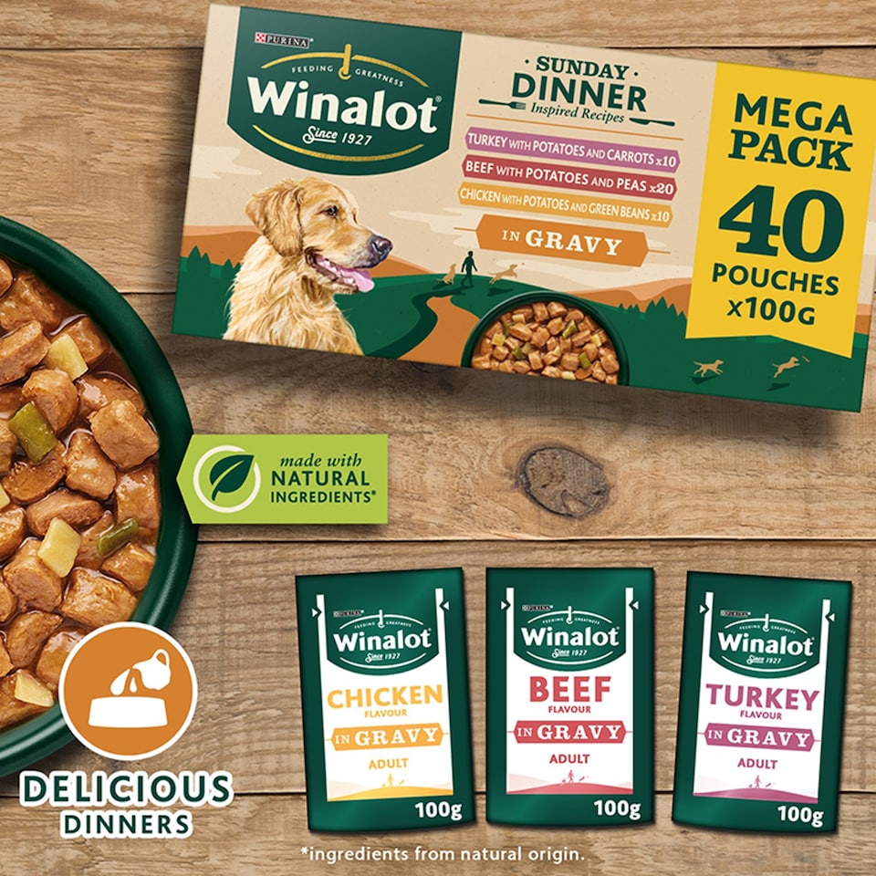 image 1 of Winalot Sunday Dinner Dog Food Pouches in Gravy 40 x 100g