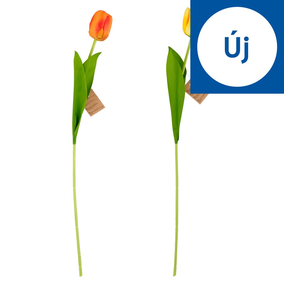 hanmar tulipán dekoráció