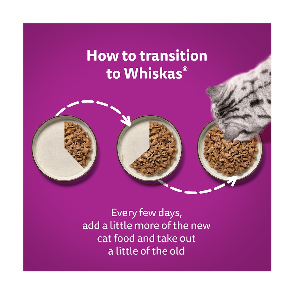 image 1 of Whiskas Adult Cat Food Pouches Fish Favourites in Jelly 40x85g