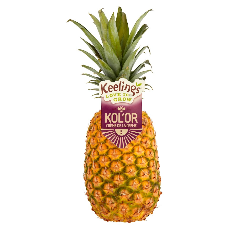 Keelings Kol'or Giant Pineapple