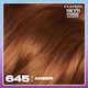 image 4 of CLAIROL NICE'N EASY TONE+GLOSS SEMI PERMANENT HAIR DYE - 645/92 AMBER