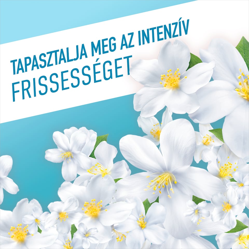 Ajax Flower Fiesta Jázmin általános tisztítószer 1000 ml  1. kép