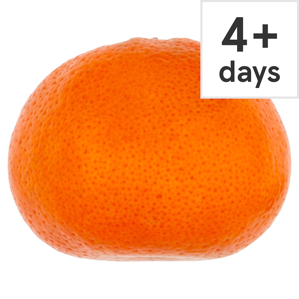 image 1 of Tesco Xl Easy Peeler