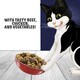 image 6 of Felix Dry Doubly Delicious Beef, Chicken & Vegetables Cat Food 750g