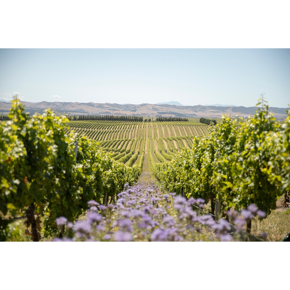 image 1 of Yealands Reserve Sauvignon Blanc 75cl