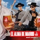 image 2 of Madri Excepcional Premium Lager Beer Bottle 12 x 330ml 