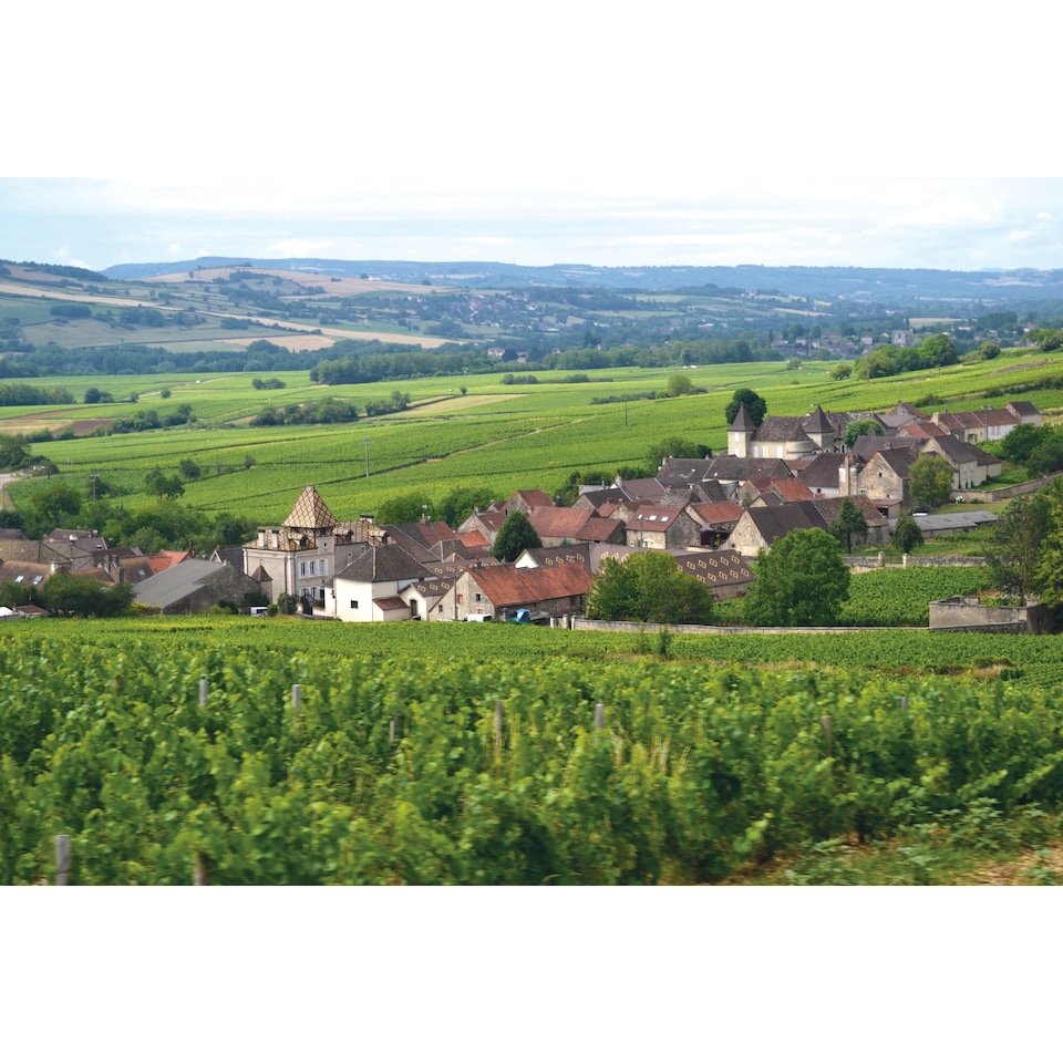 image 1 of Louis Jadot Pouilly Fuisse 75Cl