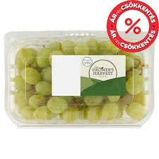 Grapes