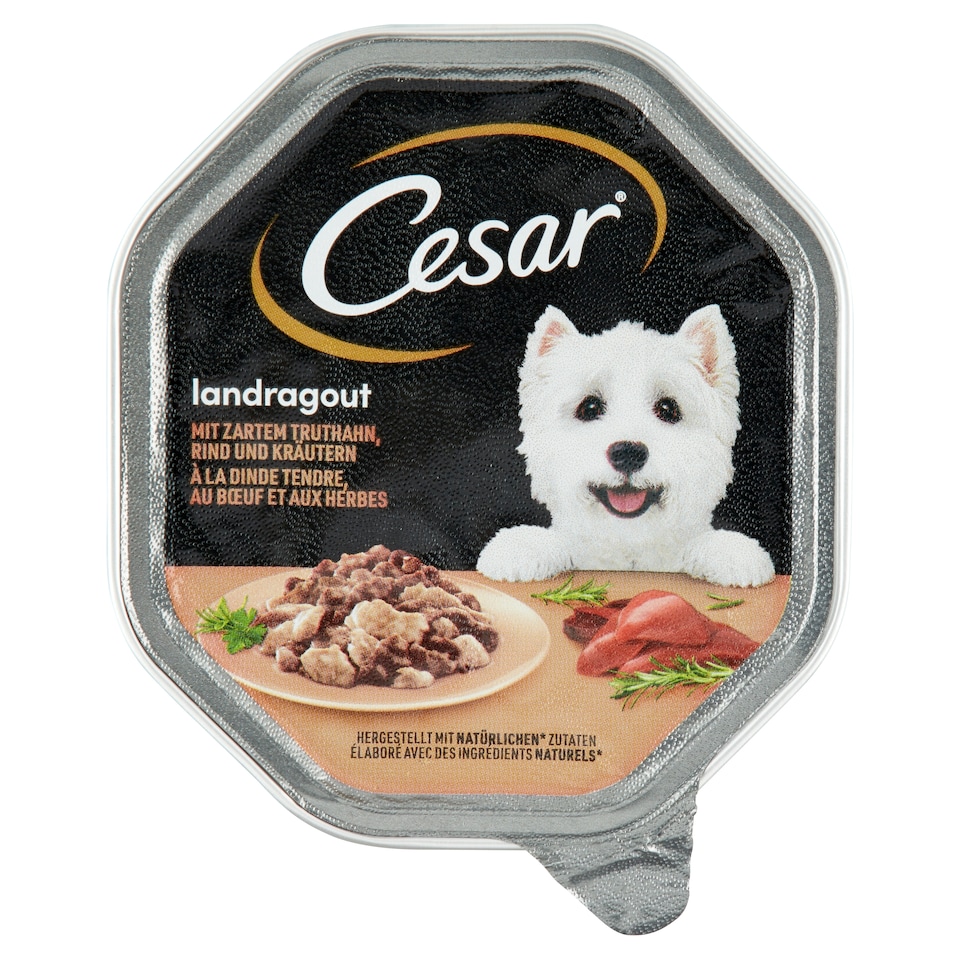 image 1 of Cesar Complete Wet Food for Adult Dogs with Crumbled Turkey-Beef, Spices 150 g