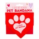 image 1 of Fizz Valentines Pet Bandana