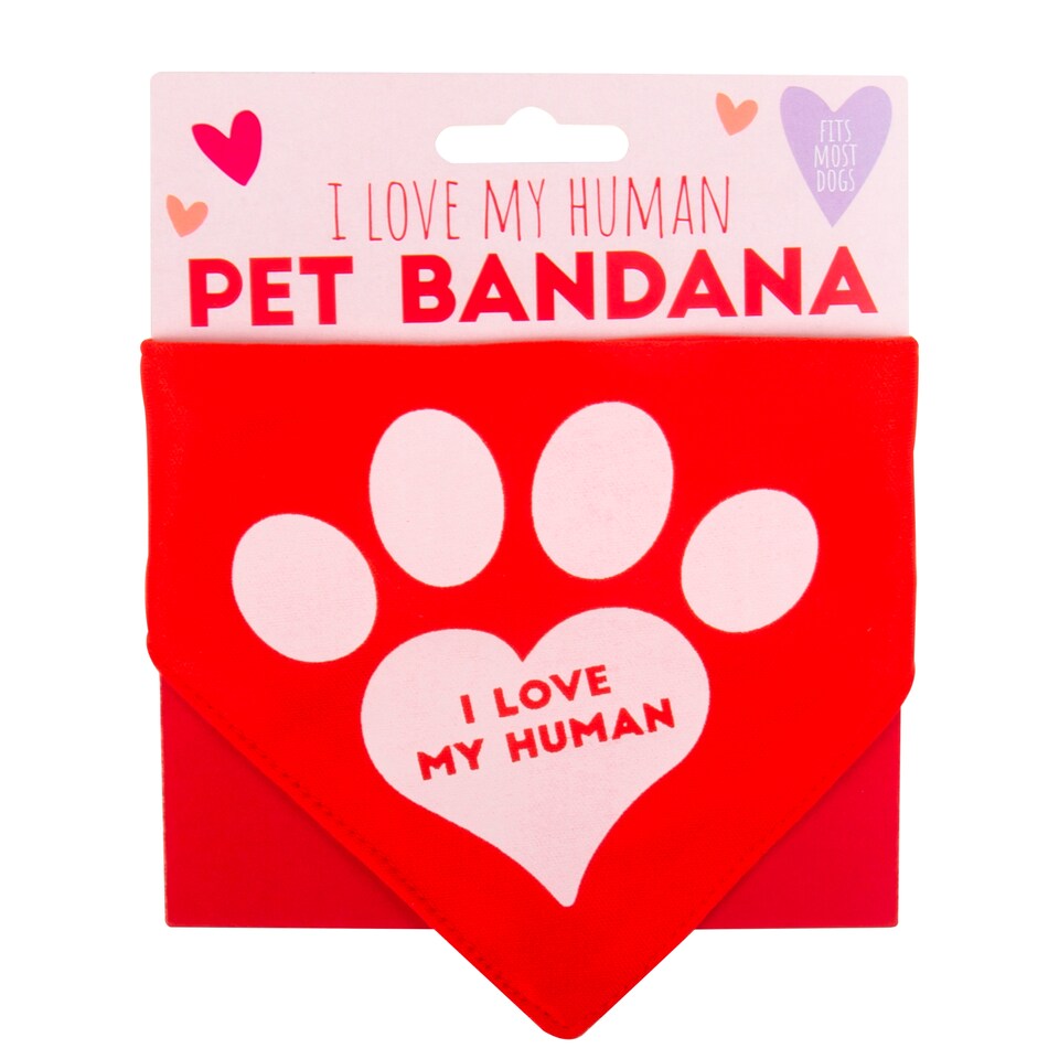 image 1 of Fizz Valentines Pet Bandana