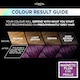 image 2 of L'Oreal Paris Preference Vivids 3.16 Magnetic Plum Permanent Hair Dye